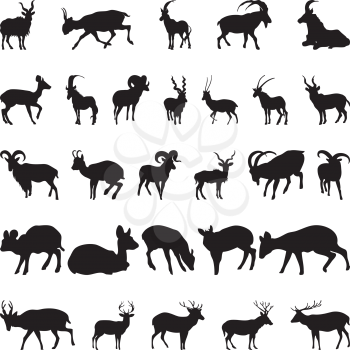 Collection of deer and goats silhouettes. Vector illustration.