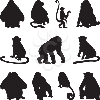 Collection of apes silhouettes. Vector illustration.