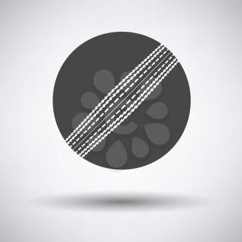 Cricket ball icon on gray background, round shadow. Vector illustration.