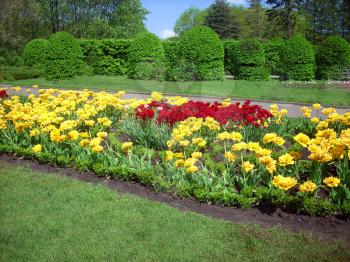 Royalty Free Photo of a Flower Bed in a Park
