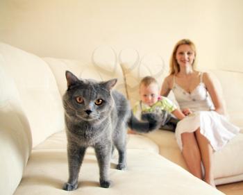 Royalty Free Photo of a Cat on the Couch With a Family