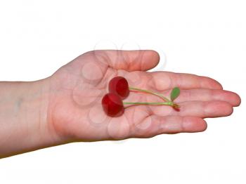 Royalty Free Photo of a Person Holding Cherries