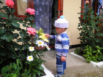 Royalty Free Photo of a Little Boy in the Garden
