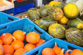 Pumpkin and melon sale on the Dutch market
