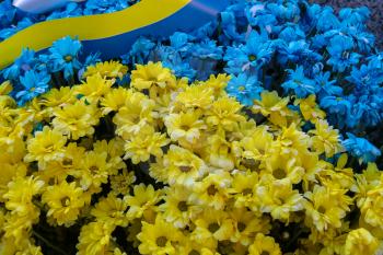 Blue and yellow bouquet in colors of national flag of Ukraine with strip