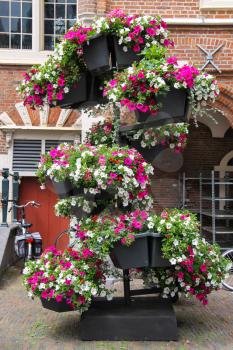 Decorative floral composition in the historic centre of Haarlem, the Netherlands