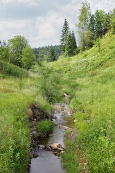 Narrow creek between hills in Carpathians