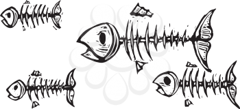 Royalty Free Clipart Image of Fish Skeletons