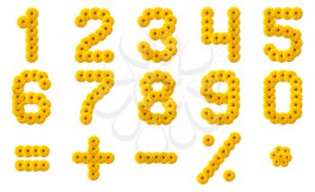 Numerals Alphabet of yellow flowers isolated on white background
