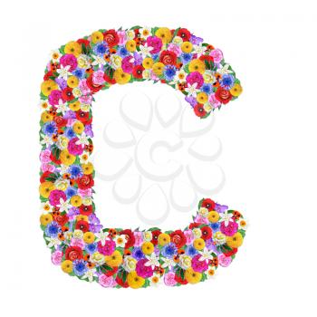 C, letter of the alphabet in different flowers isolated on white background