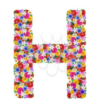 H, letter of the alphabet in different flowers isolated on white background