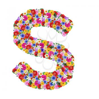 S, letter of the alphabet in different flowers isolated on white background
