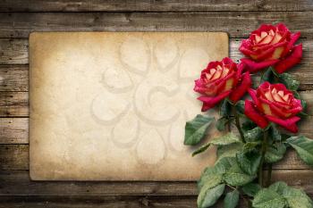 Card for invitation or congratulation with red rose in vintage style