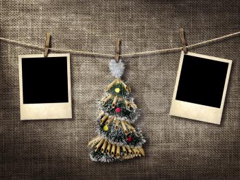 Royalty Free Photo of Photographs and a Christmas Tree on a Line