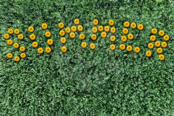 inscription of yellow flowers on a background of grass