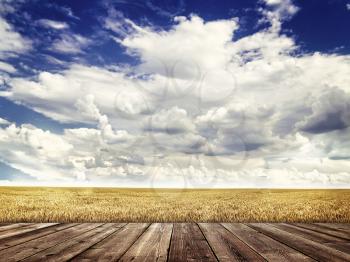 Wood floor and  agricultural fields,  sky with curly clouds