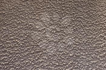 gray textured plaster wall close-up
