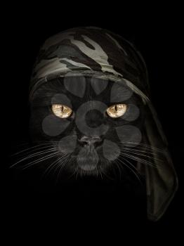 dark muzzle cat  in brown camouflage Headband