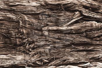 old broken wood fiber close-up