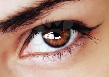Hypnotic beautiful brown eye with makeup close up
