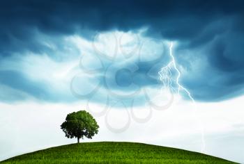 The natural landscape with the storm, overcast sky and lonely tree