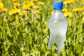 Royalty Free Photo of a Bottle of Water in Grass