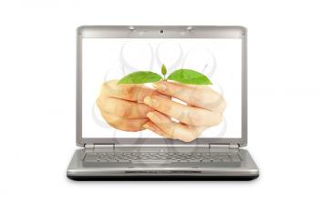 Royalty Free Photo of a Person Holding a Plant on a Laptop