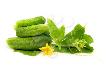 Royalty Free Photo of Cucumbers