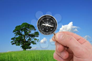 Royalty Free Photo of a Person Holding a Compass