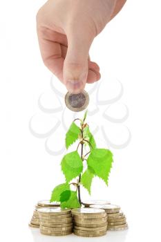 Royalty Free Photo of a Coins Growing From a Plant
