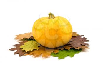 Royalty Free Photo of a Pumpkin on Leaves