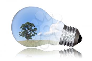Summer landscape with tree in light bulb symbolizing green energy 