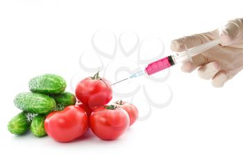 Scientist injecting GMO into the tomato. Isolated on white background.