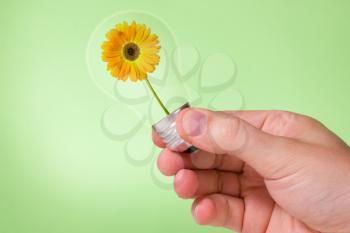 Hand holding light bulb with yellow flower inside