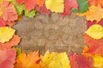 Royalty Free Photo of an Autumn Leaf Frame