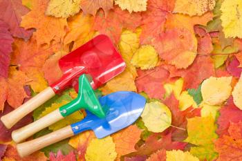 Royalty Free Photo of Garden Tools on Autumn Leaves