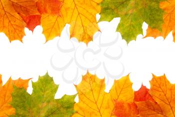 Autumn maple leaves frame with copy space