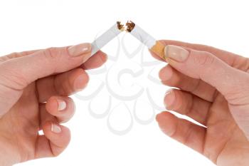  Female hands breaking a cigarette in two. Isolated on white background
