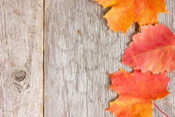 Background with autumnal  leaves and old wooden planks
