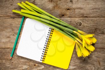 Bunch of yellow daffodil flowers and blank notebook for your text