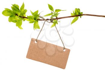 Tree branch with blank tag tied with string. Isolated on white background.