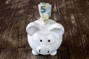 Detail of a piggy bank and five euro banknote