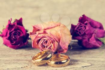 Wedding rings with dry roses buds on background