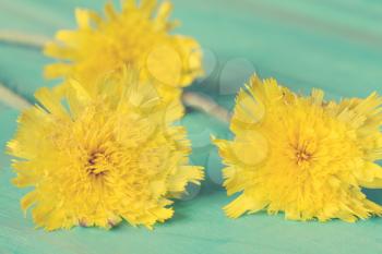 Three yellow wildflowers on blue painted wooden background
