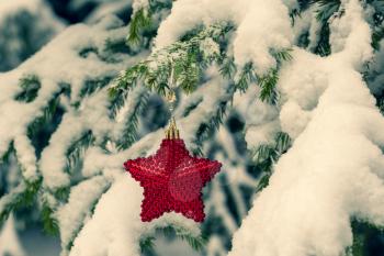 Red Christmas Star on the snow covered fir branch. Blue toned  image.