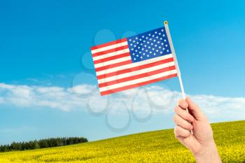 Hand with american flag on summer field background