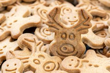 Christmas gingerbread deer cookie close-up view
