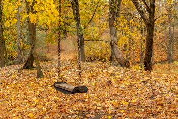 Empty swing under the tree in autumn park full of fallen leaves