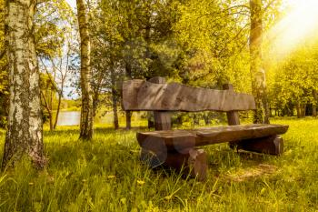 Empty wooden bench in a public park. Beautiful sunny day.