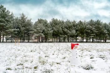 Small snowman in Santa hat on snowy field. Winter wonderland with a funny smiling snowman in a snowy park.